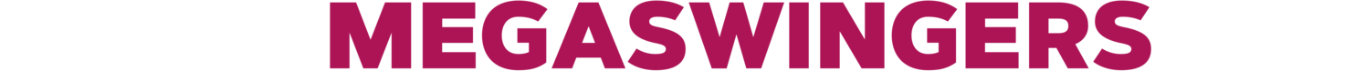 Czech Mega Swingers logo