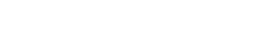 Gender Flux logo