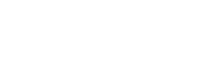 NF Busty logo