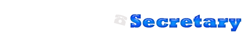 Live Naughty Secretary logo