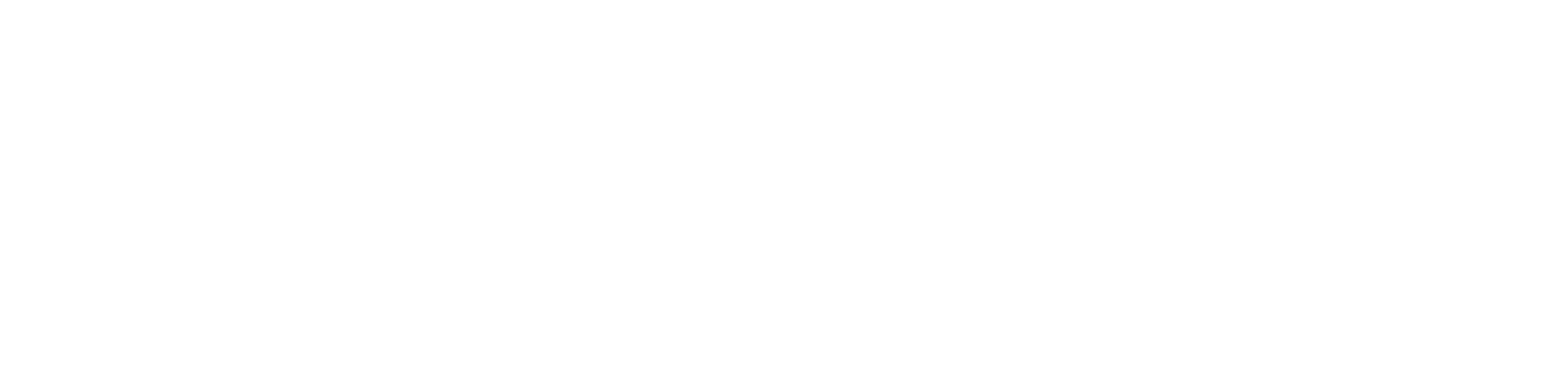 DarkShade logo