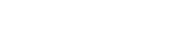 Vixen Intimates logo