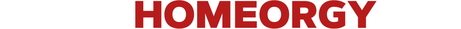 Czech Home Orgy logo