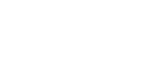 Pornstars Punishment logo