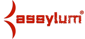 Assylum logo