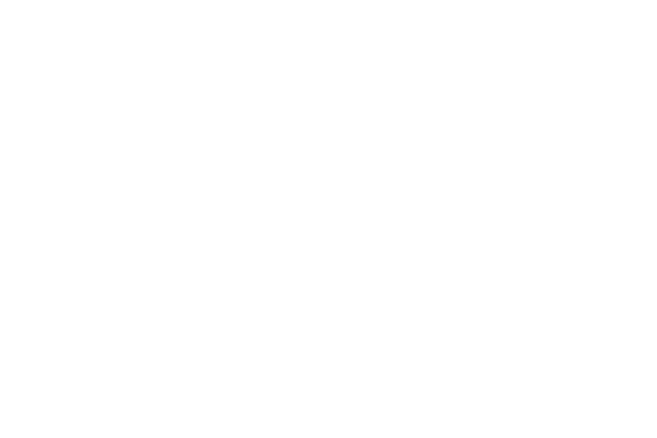 Frameleaks logo