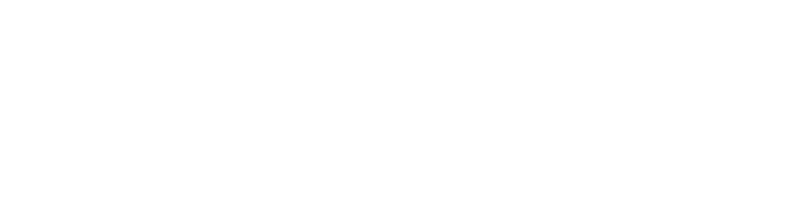 Use POV logo