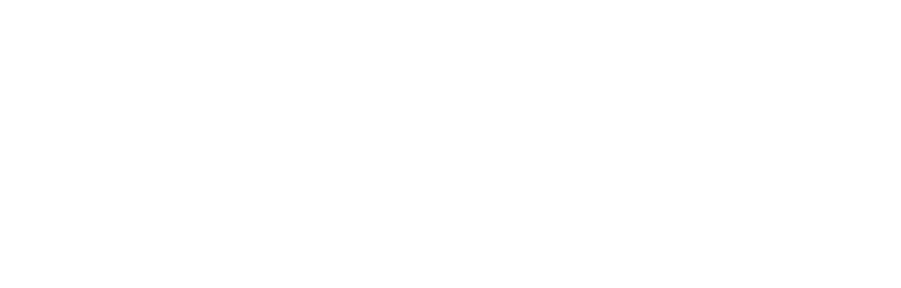Belle Says logo