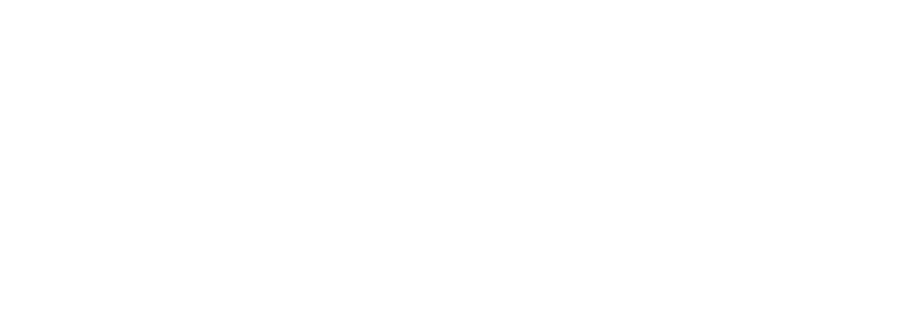 Bryci logo