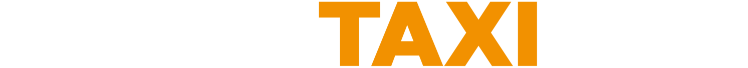 Czech Taxi logo