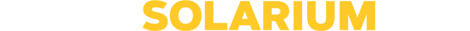 Czech Solarium logo