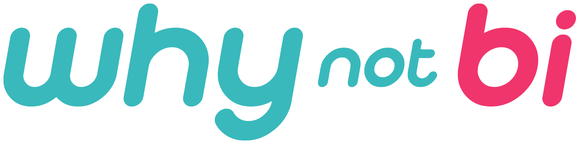 Why Not Bi logo
