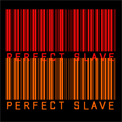 PerfectSlave logo