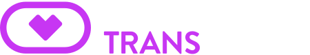 VirtualRealTrans logo